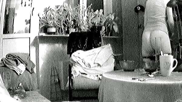 கிச்சன் கவுண்டரில் படுத்திருக்கும் ஜினா டி ஒரு உண்மையான சேவல் போல ஒரு டில்டோவை உறிஞ்சினாள்
